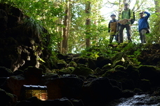 株式会社タカラッシュのプレスリリース画像1