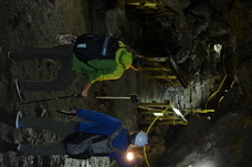 株式会社タカラッシュのプレスリリース画像2