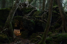 株式会社タカラッシュのプレスリリース画像1