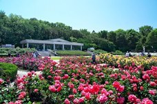 株式会社タカラッシュのプレスリリース画像2