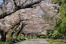 株式会社タカラッシュのプレスリリース画像3