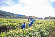 春日井市のプレスリリース画像3