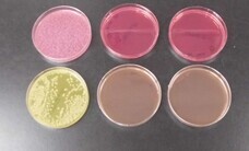 KOHOBUのプレスリリース画像1