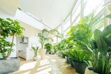 棟晶株式会社のプレスリリース画像1