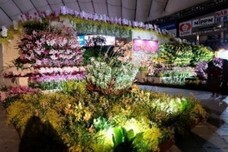 世界らん展実行委員会のプレスリリース画像7