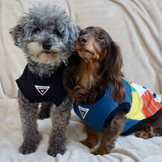 合同会社enkaraのプレスリリース画像1