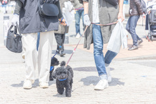 合同会社enkaraのプレスリリース画像1