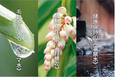 I&amp;I企画のプレスリリース画像1