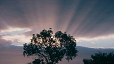 ティアフル製作委員会のプレスリリース画像7