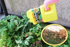 扶桑化学株式会社のプレスリリース