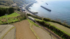 ダイコロ株式会社のプレスリリース画像25