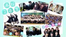 ダイコロ株式会社のプレスリリース画像22