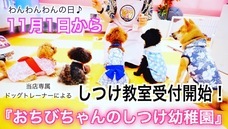 まいくろ商店株式会社のプレスリリース画像1