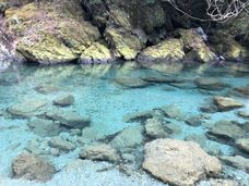 株式会社CASEのプレスリリース画像1