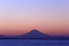 株式会社紀伊乃国屋のプレスリリース画像1