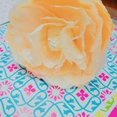 p-factoryのプレスリリース画像1