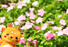 株式会社サイプラスのプレスリリース画像1