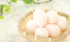 株式会社サイプラスのプレスリリース画像5