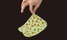 株式会社サイプラスのプレスリリース画像2