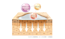 株式会社サイプラスのプレスリリース画像3