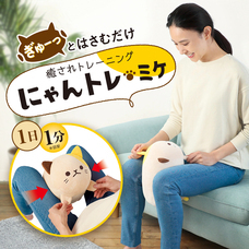 株式会社サイプラスのプレスリリース画像6