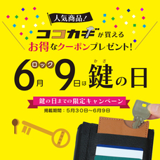 株式会社サイプラスのプレスリリース画像5