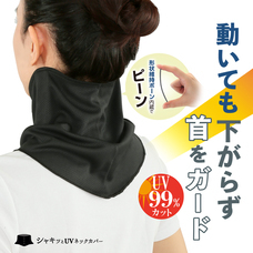 株式会社サイプラスのプレスリリース画像6