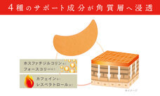 株式会社サイプラスのプレスリリース画像4