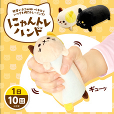 株式会社サイプラスのプレスリリース画像6