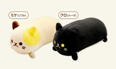 株式会社サイプラスのプレスリリース画像1