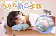 株式会社サイプラスのプレスリリース画像6