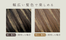 株式会社サイプラスのプレスリリース画像6