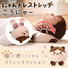 株式会社サイプラスのプレスリリース画像8