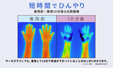 株式会社サイプラスのプレスリリース画像3