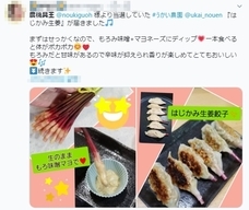 株式会社リンクのプレスリリース画像7