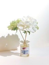 株式会社 丸一のプレスリリース画像1