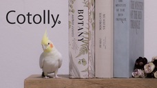 株式会社 丸一のプレスリリース画像7