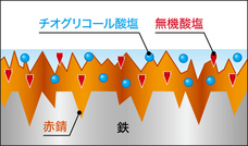 呉工業株式会社のプレスリリース画像4