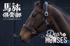 ホースパートナーズのプレスリリース画像5