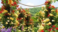 熱海市チャレンジ応援センター(A-biz)のプレスリリース画像3