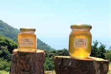 熱海市チャレンジ応援センター(A-biz)のプレスリリース画像4