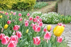 熱海市チャレンジ応援センター(A-biz)のプレスリリース画像3