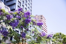 熱海市チャレンジ応援センター(A-biz)のプレスリリース画像1