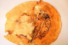 熱海市チャレンジ応援センター(A-biz)のプレスリリース画像2