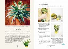 株式会社ガイアブックスのプレスリリース画像3