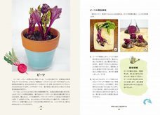 株式会社ガイアブックスのプレスリリース画像2