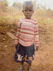 株式会社千里眼のプレスリリース画像1