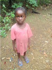 株式会社千里眼のプレスリリース画像1