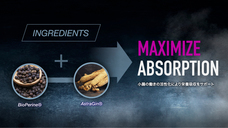 株式会社アルファメイルのプレスリリース画像6