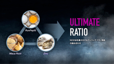 株式会社アルファメイルのプレスリリース画像5